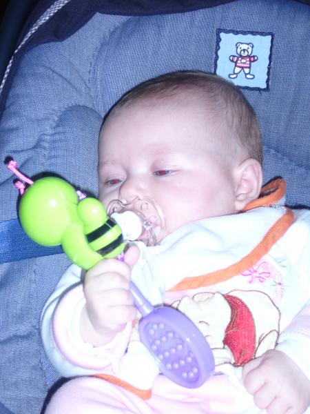 ma copine l abeille jarrive a tenir toute seule comme une grande