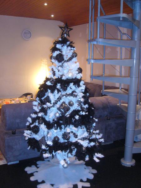 notre sapin de noel